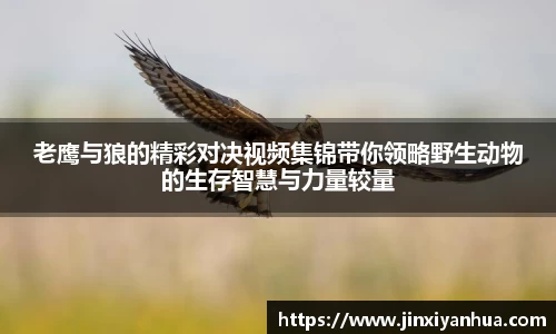 易游m6